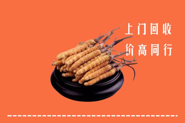 高价求购：阜康市回收散虫草