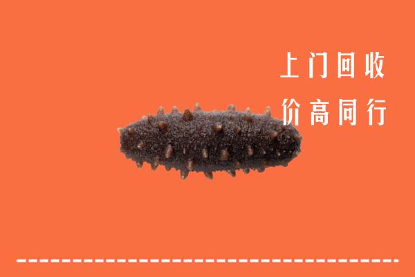高价求购：阜康市回收海参