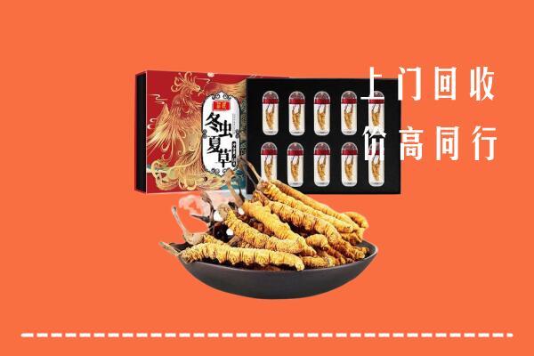 阜康市回收虫草